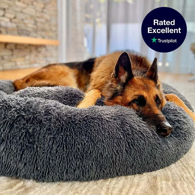 Brooklyn® Deep Sleep Pet Bed