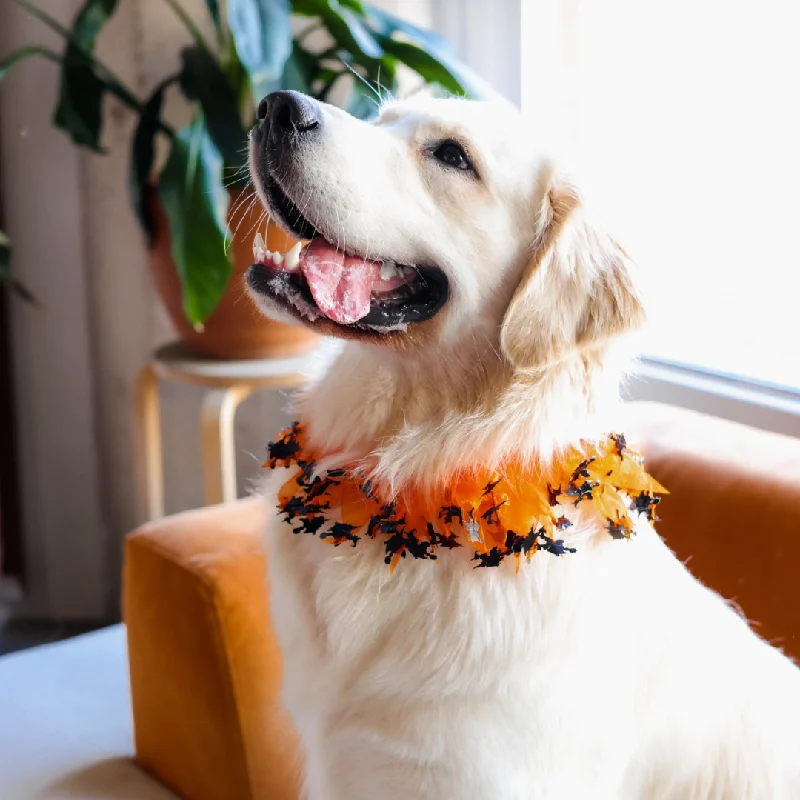 Halloween Decorative Pet Collar