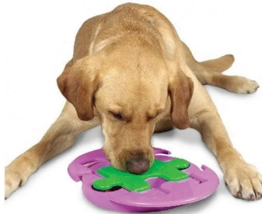 - Brand XX pet toy recommendationsOutward Hound Jigsaw Glider Dog Toy