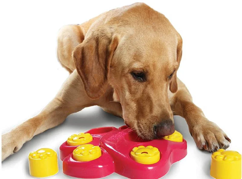 - Pet educational toy recommendationsOutward Hound Paw Hide Puzzle Dog IQ Toys