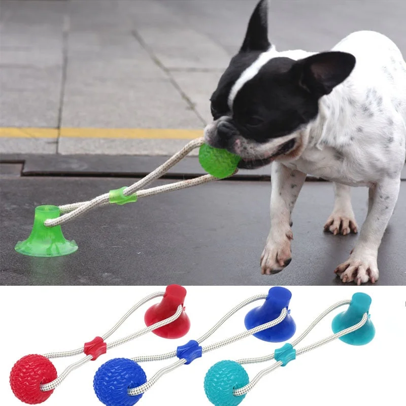 - Rabbit toy selectionPet Toys Suction Cup Rubber Dog Chew Toys Pet Ball Tug Toy Tooth Cleaning Chewing Puppy Pet Toy Tug Rope Handle