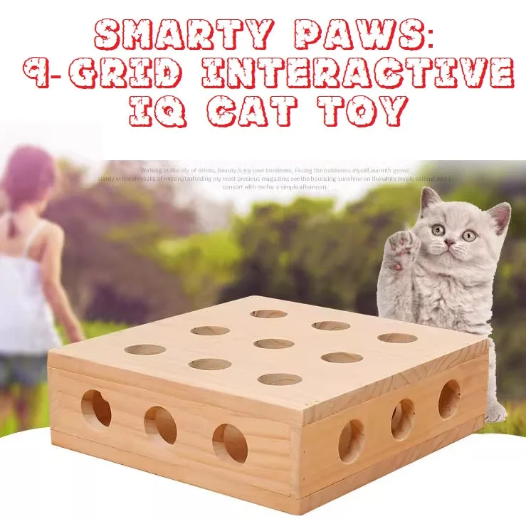 - Indoor pet toy recommendationsSmarty Cat Challenge 9-Grid IQ Puzzle Cat Toy Solid Wood, High Quality, Fun & Engaging Play Easy Fun